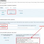 How to add Twitter Button Count on WordPress Blog