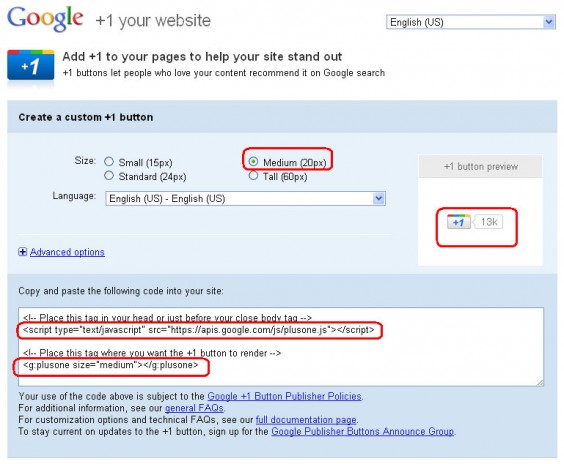 Google +1 Button Customization