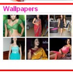 WordPress – How To Show Thumbnail Gallery In Sidebar